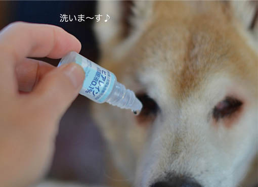 22日ブログ6.jpg
