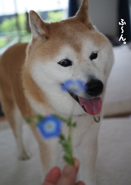 25日夕ブログ6