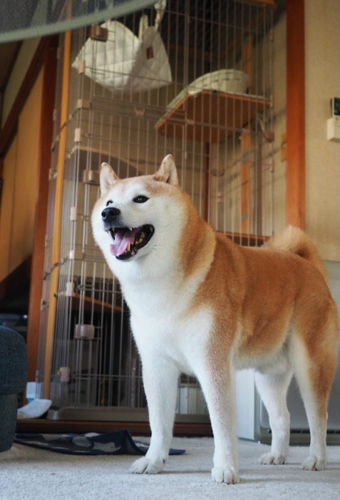 12日ブログ１