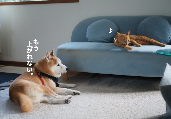 5日夕ブログ４