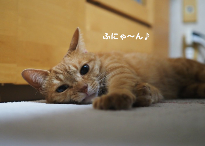 11日ブログ４