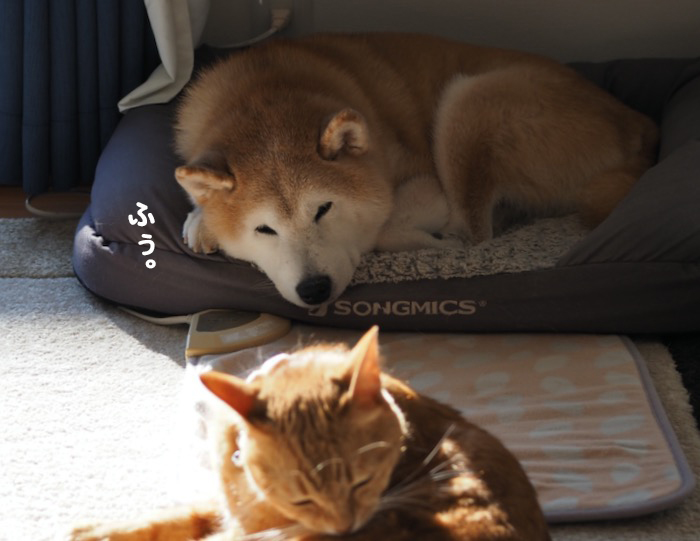 28日夕ブログ１５