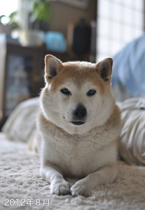 1日夕ブログ７
