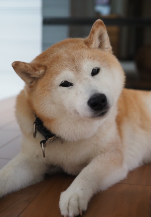 22日午前ブログ１