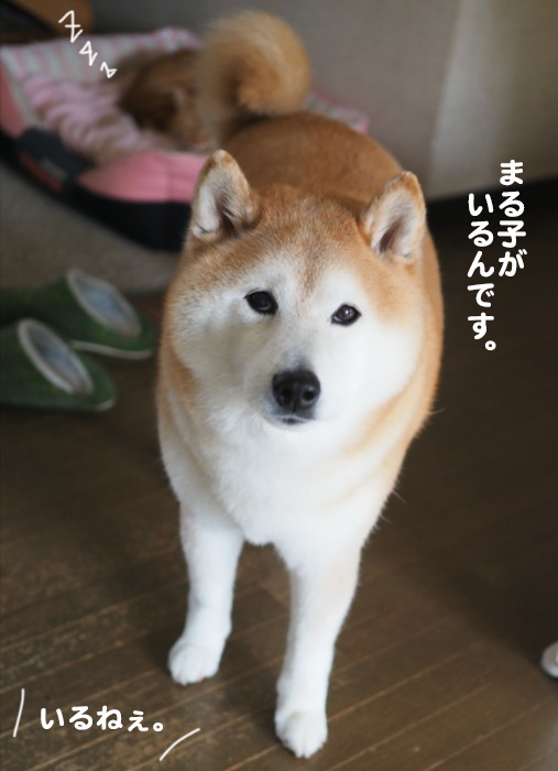 21日夕ブログ３