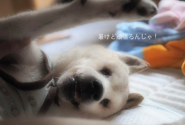 4日ブログ7
