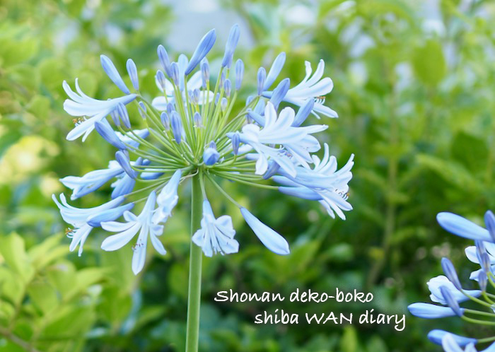 15日ブログ１