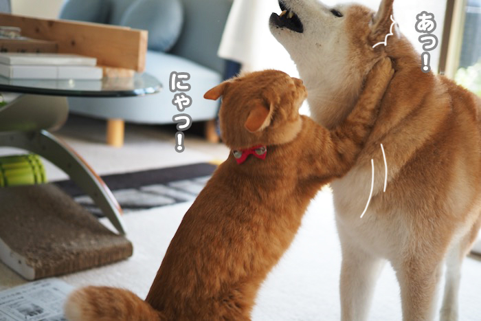 14日ブログ３