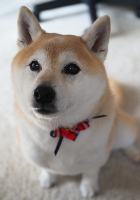 10日ブログ９