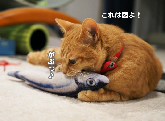 23日夕ブログ７