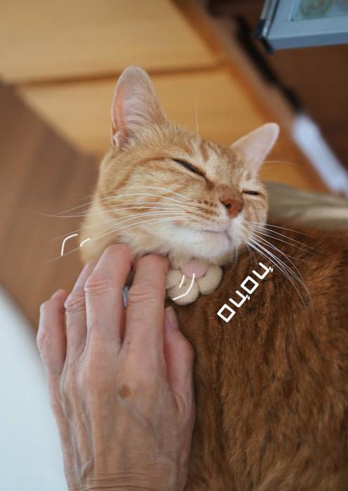7日夕ブログ２