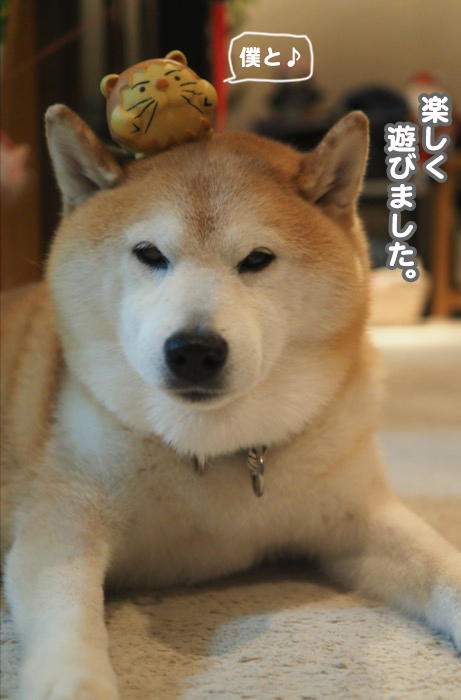 21日夕ブログ４