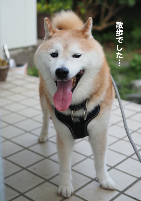 14日ブログ４