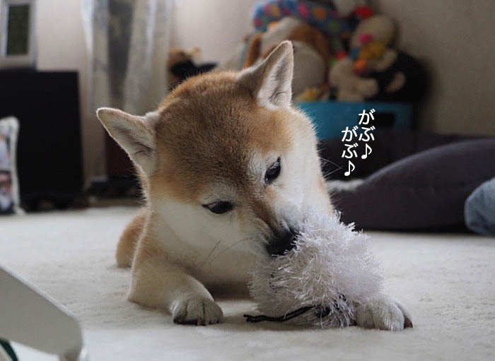 2日夜ブログ３