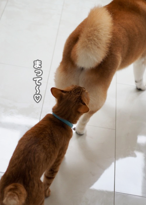 18日夕ブログ5
