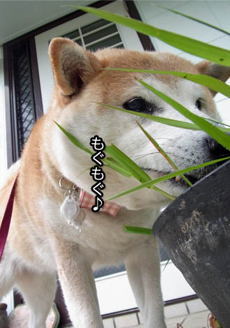 24日ブログ3.jpg