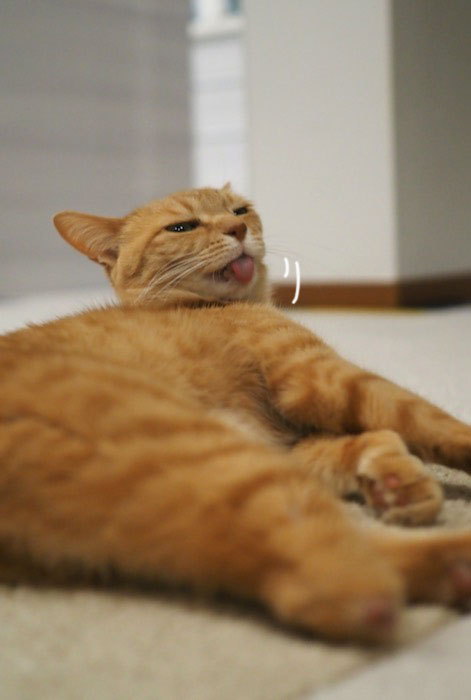 7日夕ブログ４