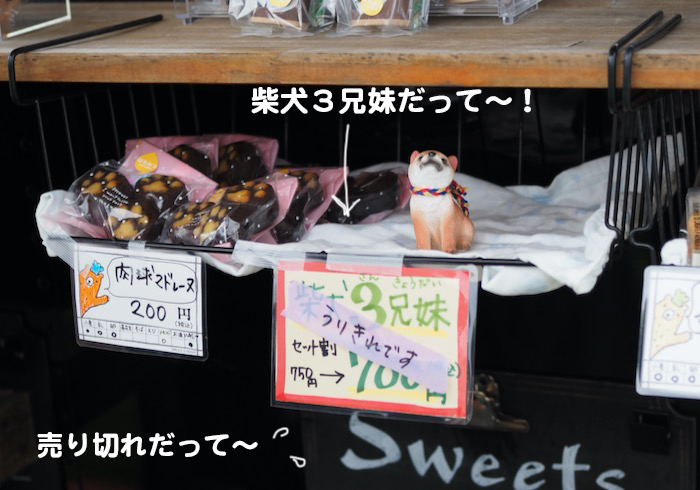 12日夕ブログ７