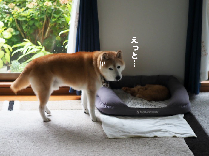 11日ブログ８
