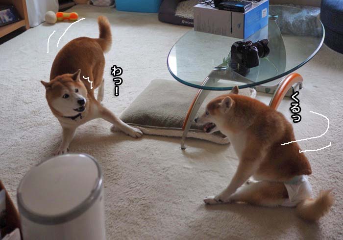 28日夜ブログ１３