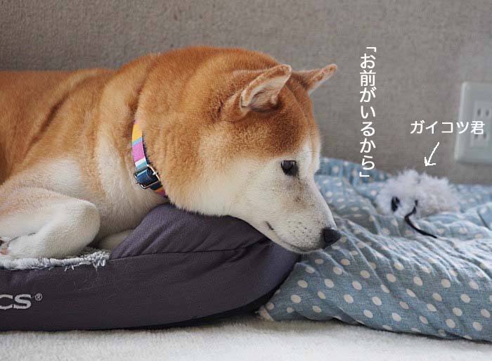 8日夜ブログ３