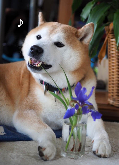 5日ブログ5