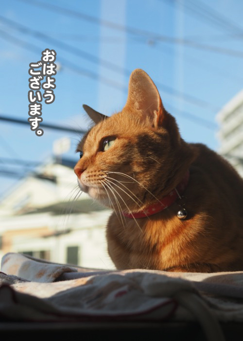 2日ブログ６