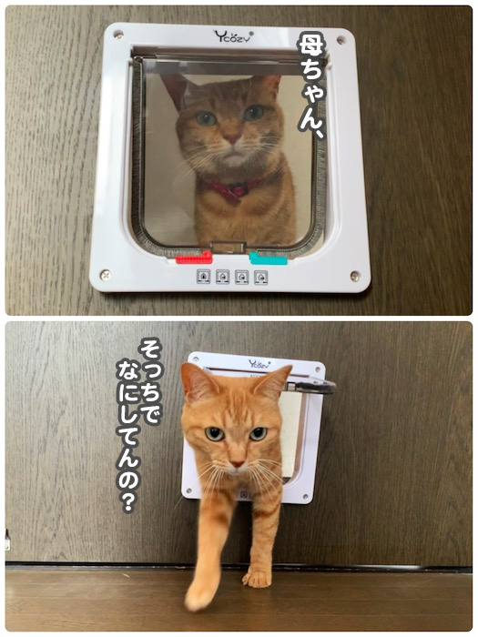 9日夕ブログ１５