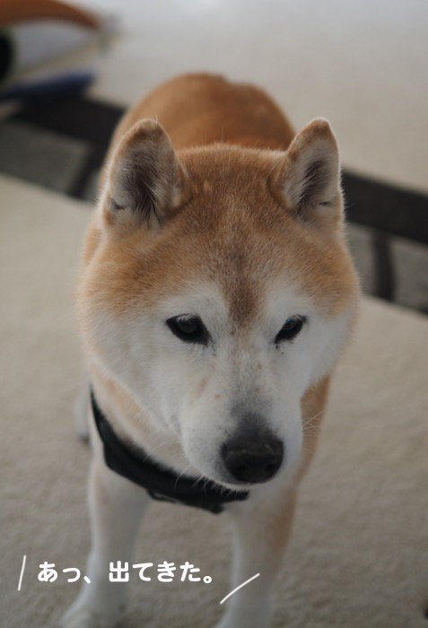 18日夕ブログ２