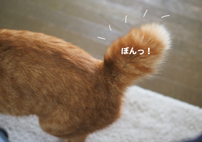12日ブログ２