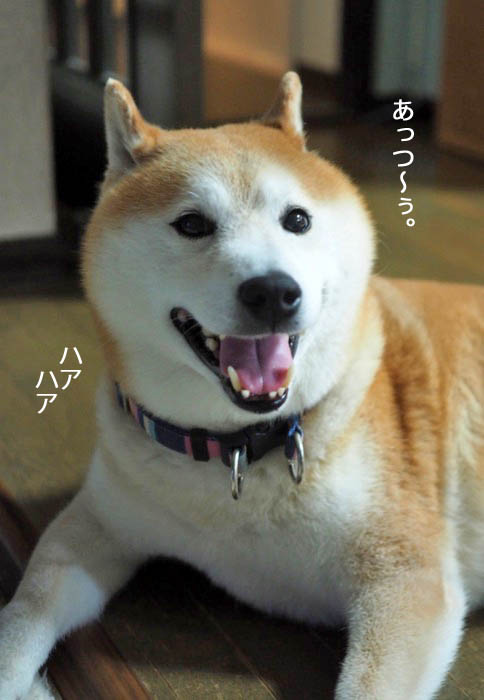 30日ブログ６