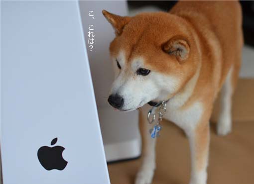 21日ブログ3.jpg