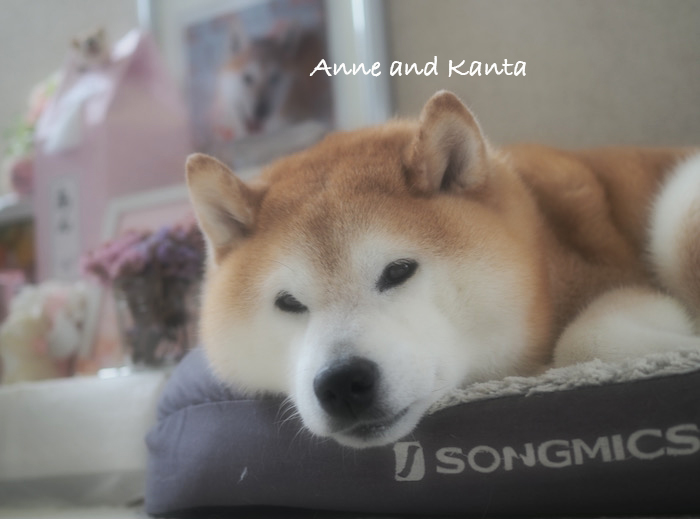 21日ブログ１
