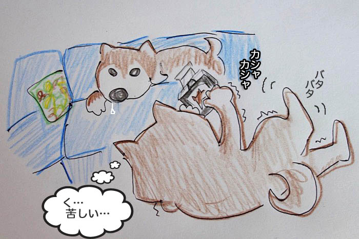 30日午後ブログ４