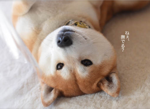 28日ブログ3.jpg