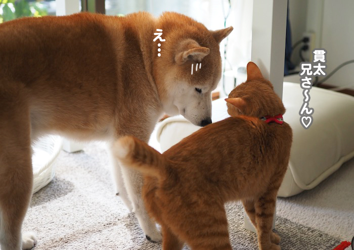 6日夕ブログ３