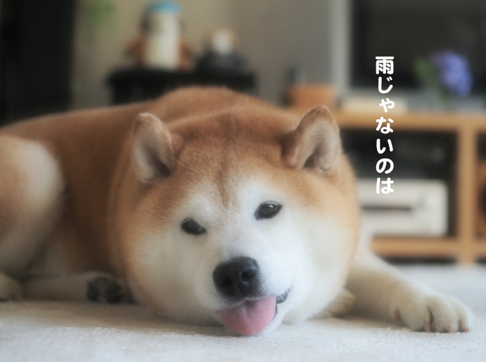 27日ブログ3