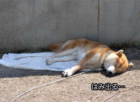 4日ブログ6.jpg