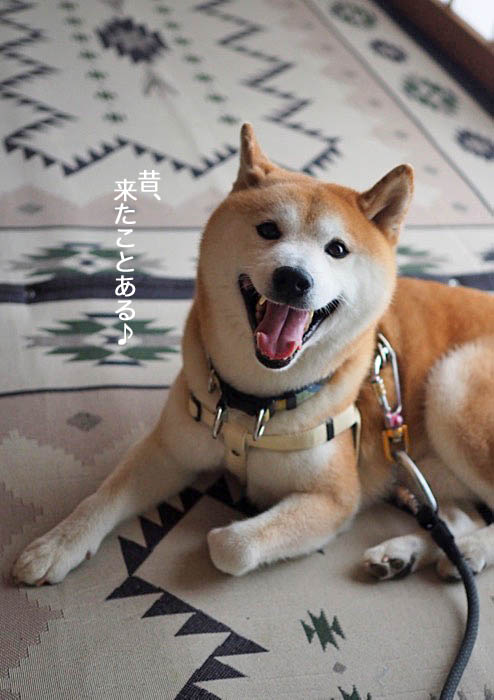25日ブログ３