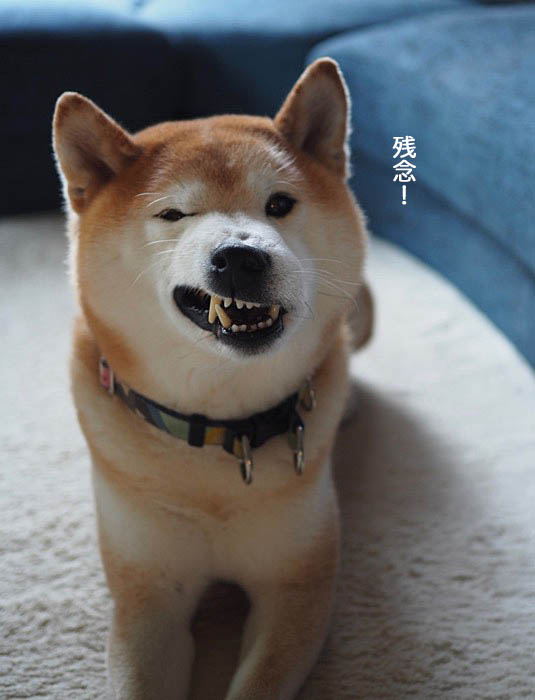 18日午後ブログ１