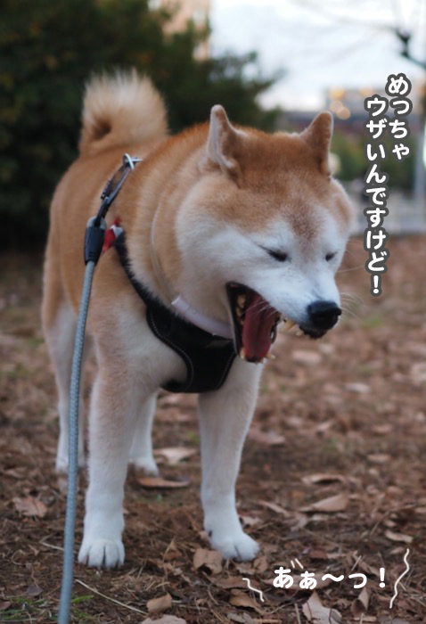 9日ブログ４