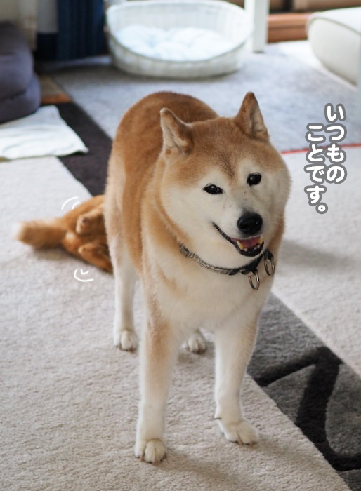 31日夕ブログ４