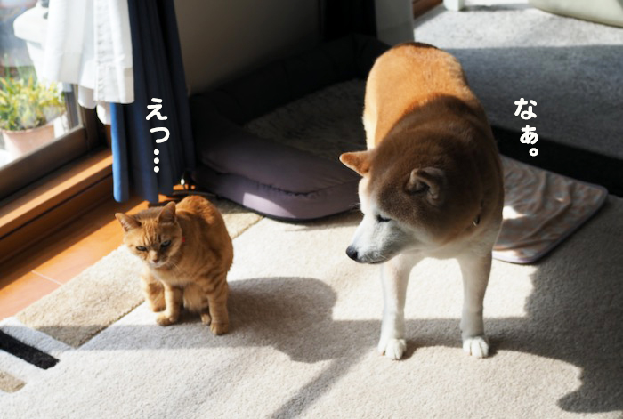 14日ブログ５