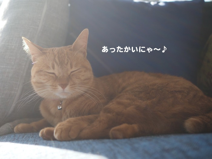 22日ブログ２