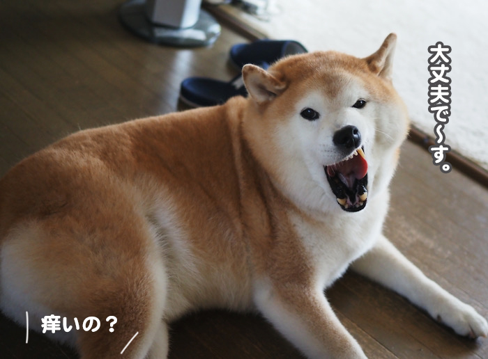 30日ブログ８