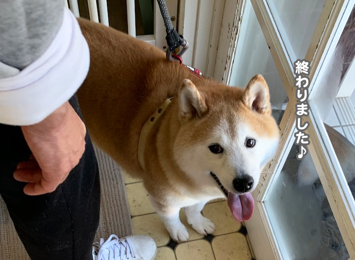 7日夕ブログ８