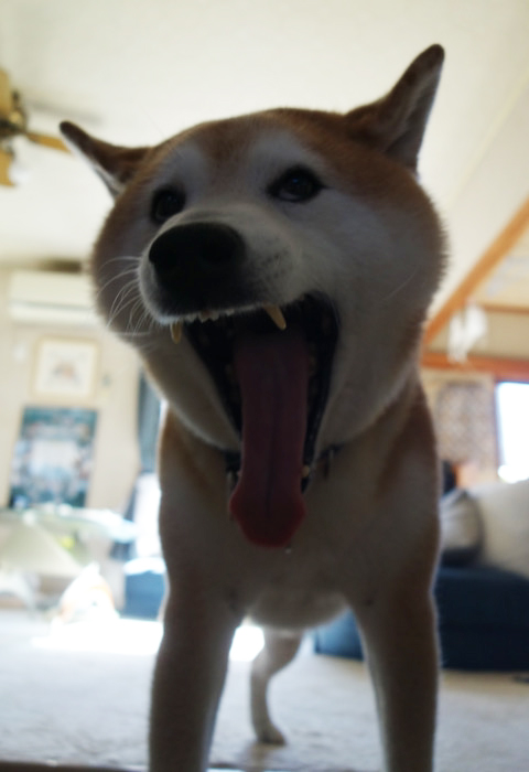 13日夜ブログ３