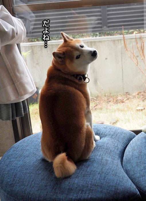 26日夜ブログ４