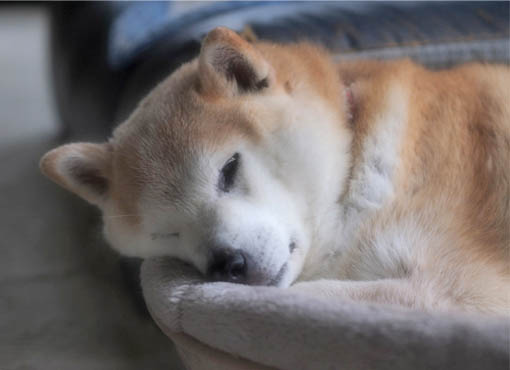 6日ブログ6.jpg