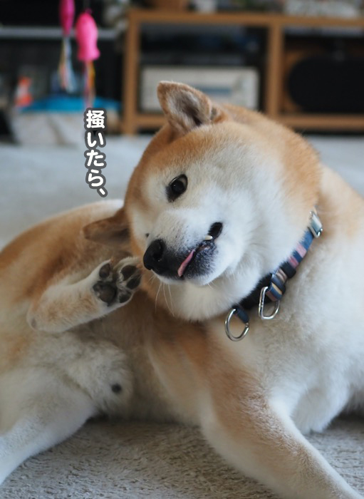 9日夕ブログ５